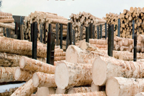 木材加工編碼器應(yīng)用解決方案 - 德國Hengstler(亨士樂)授權(quán)代理 木材加工編碼器應(yīng)用解決方案 - 德國Hengstler(亨士樂)授權(quán)代理